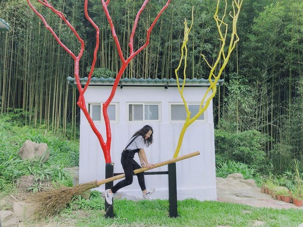 ▲「魔法女屋景觀餐廳」金針花。（圖／IG@_____.yuuuu提供，請勿隨意翻拍，以免侵權）