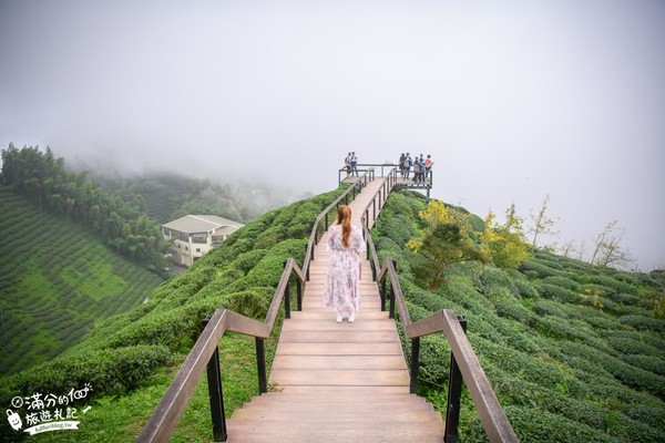 ▲▼銀杏森林＆大崙山觀景臺。（圖／滿分的旅遊札記提供）