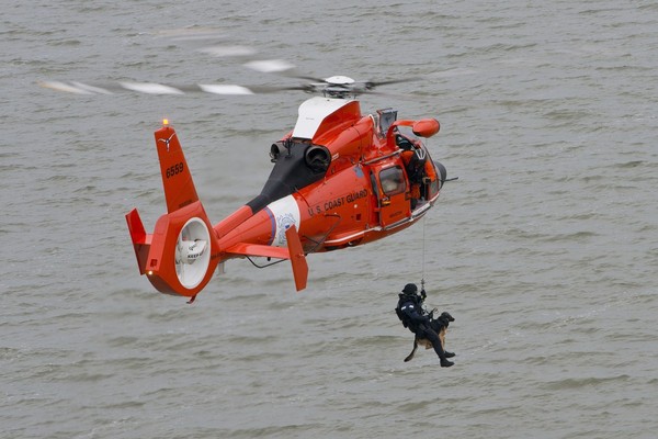 ▲從直升機「空降海中」　義大利救生犬30年救逾千溺水者。（示意圖／取自免費圖庫pixabay）