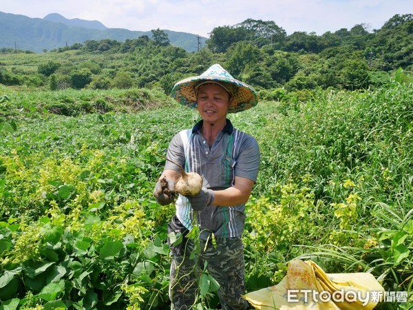 ▲出磺口農場場長陳國志,出磺口農場。（圖／記者彭懷玉攝）