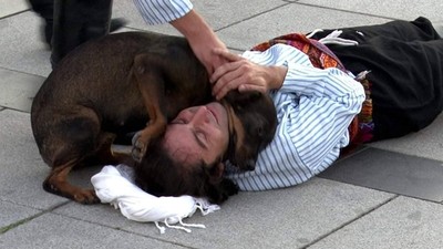 街頭演戲太逼真！浪浪見男「倒下呻吟」不忍　毛身體近貼狂蹭暖翻路人