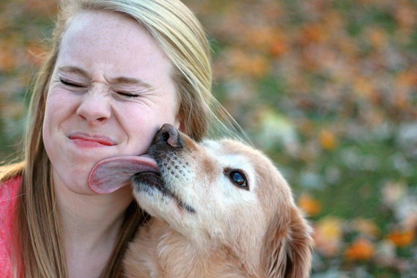 毛小孩狗狗會去舔人類或其他犬隻的下巴、嘴巴，「熊爸」解釋，這是一個討好的動作，「表達牠非常喜愛你。」（翻攝自加拿大《健康》官網）