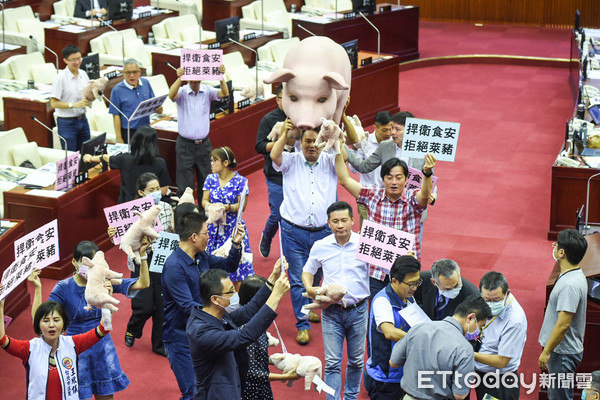 ▲台北市議會開議，國民黨議員準備大豬公要求柯文哲針對美豬議題簽署表態。（圖／記者林敬旻攝）