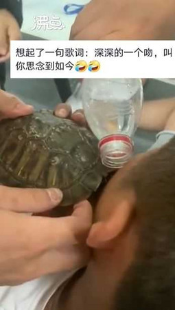男子餵烏龜被狠咬住臉不放。（圖／翻攝自封面新聞微博）