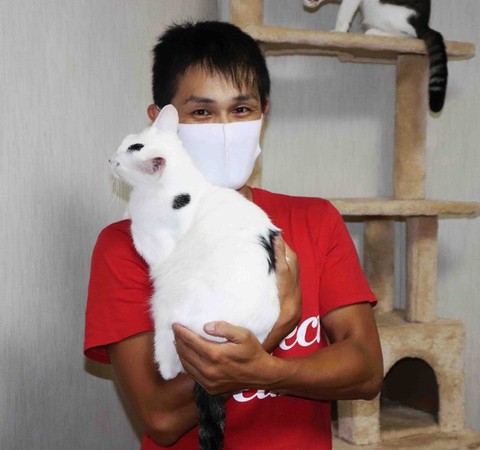▲▼島川先生與母親留下的18隻貓貓。（圖／翻攝自まいどなニュース）