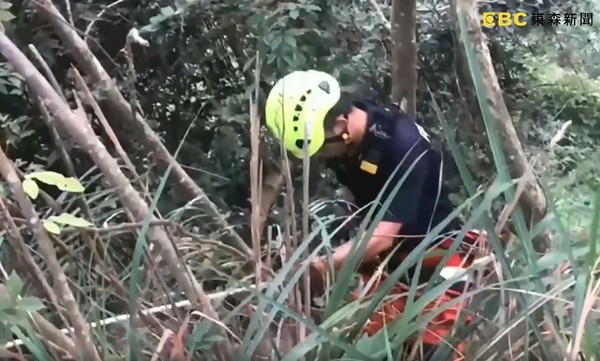 ▲▼大坑山區採草藥慘遭虎頭蜂螫 3男受困深谷獲救。（圖／東森新聞）