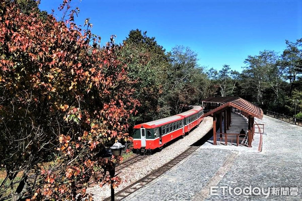 ▲▼  配合祝山車站改建　觀日列車10/14起改停對高岳車站            。（圖／記者翁伊森翻攝）