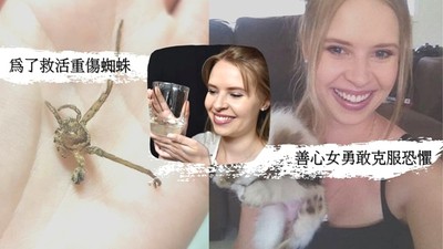 克服恐懼「收養殘疾蜘蛛」！善心女目睹「牠與壁虎戰鬥」細心照料養出感情