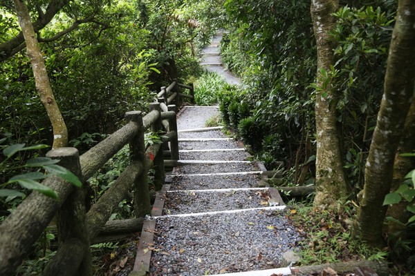 ▲「中和圓通禪寺至烘爐地登山觀光步道修繕工程」已完工，並於日前對外開放。（圖／中和區公所提供）