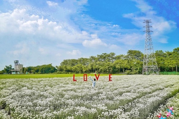 ▲▼             。（圖／記者ShareLife 分享生活攝）