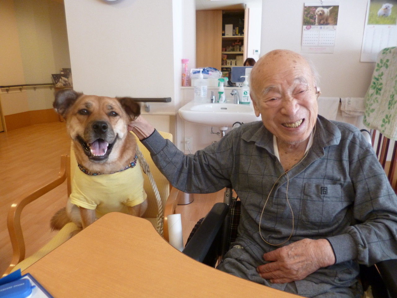 ▲米克斯犬的「文福」在養護中心會陪伴即將臨終的老人離世。（圖／翻攝自櫻之里山科網站）