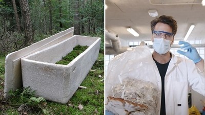 躺2年就變肥料！　菇菇+木屑做成「環保活棺材」要價51萬