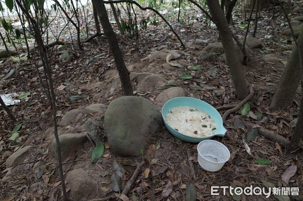 ▲石虎遭浪犬撕咬亡「附近滿地廚餘飼料」　他心痛：餵養就是幫兇。（圖／貓徑地圖王小明授權使用／鍾宜璇拍攝）（圖／貓徑地圖王小明提供）