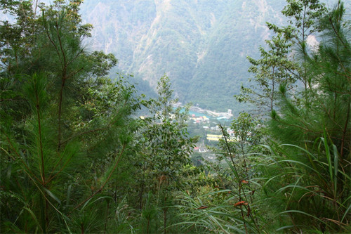 ▲▼斯可巴步道。（圖／翻攝自台灣山林悠遊網）