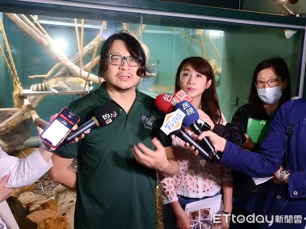 ▲▼議員許淑華到台北市立動物園關心浣熊狀況。（圖／許淑華服務處提供）