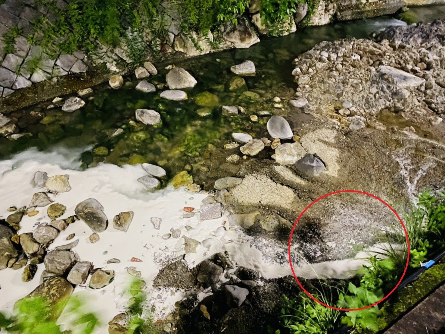 ▲▼北投熱海溫泉大飯店遭檢舉排放廢水污染北投溪。(圖/民眾提供北市環保局) ▲▼北投熱海溫泉大飯店遭檢舉排放廢水污染北投溪。(圖/民眾提供北市環保局)