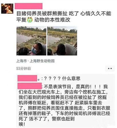 ▲▼飼育員遭5隻熊拖走「活撕分屍」…目擊者哭喊：吃了！驚悚畫面流出。（圖／翻攝微信）