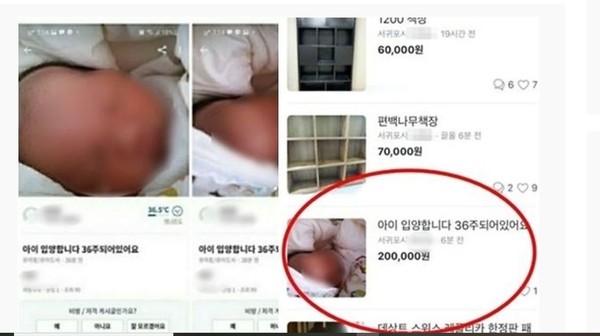 ▲韓國電視台也報導了這起「販嬰」事件。    （圖／JIBS電視臺畫面截圖)