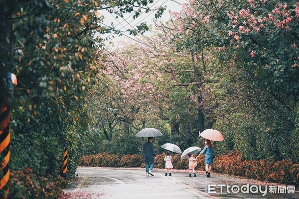 ▲新北推淡水三芝親子遊 賞花賞美景輕鬆走。（圖／新北市景觀處提供）