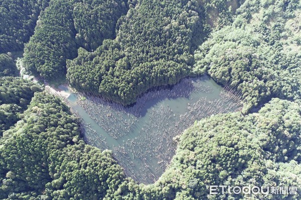 ▲▼ 水漾森林巧奪天工 走向山林安心致敬            。（圖／記者翁伊森翻攝）