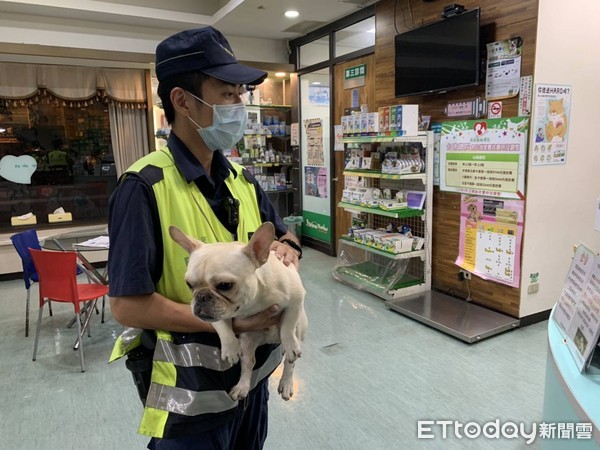 ▲台南市警六分局新興所所長黃啟彰、警員薛田明，發現有1隻「法鬥」犬走失，警方發動網路搜尋，終於找到飼主，幫助小狗平安返家。（圖／記者林悅翻攝，下同）