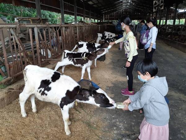 ▲楊梅休閒農業區「梅好小鎮」農業輔導成果發表