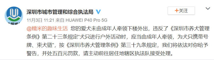 大陸深圳網紅狗被罰500元。（圖／翻攝自微博）