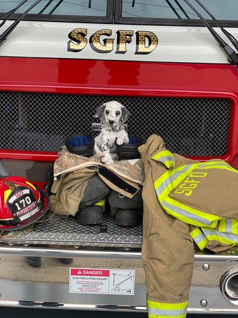 消防隊萌犬當體能教練。（圖／翻攝自Seville-Guilford Fire & EMS）