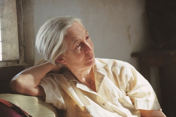 (圖/遠見雜誌提供) (圖/遠見雜誌提供)