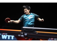 ▲▼ WTT澳門賽，鄭怡靜。（圖／取自ITTF）