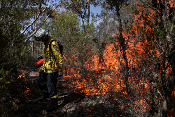 ▲▼澳洲雪梨消防員進行控制性的燃燒，以先行消除為森林大火提供有效燃料的乾枯枝葉。（圖／路透）
