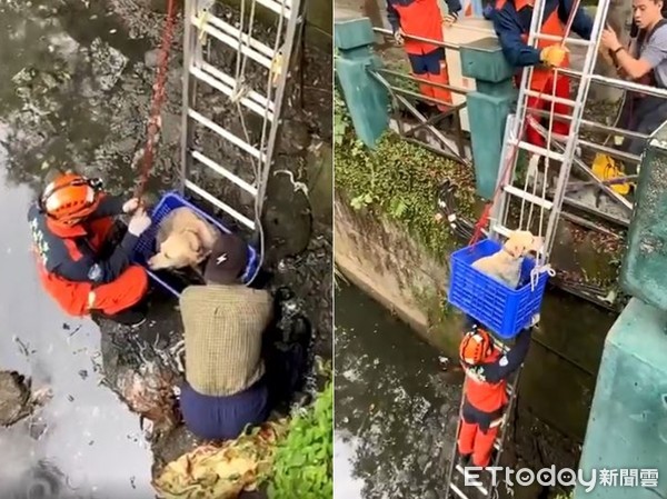 ▲▼愛犬掉進4公尺大排，老翁捨身救狗。（圖／新北市消防局授權提供）