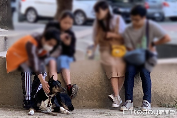 ▲台灣動物緊急救援小組接獲網友投訴，指出虎尾科技大學有意驅離獨眼的殘障校犬「阿奇」，痛斥「在最高學術殿堂上演最壞生命教育」。（圖／台灣動物緊急救援小組提供）