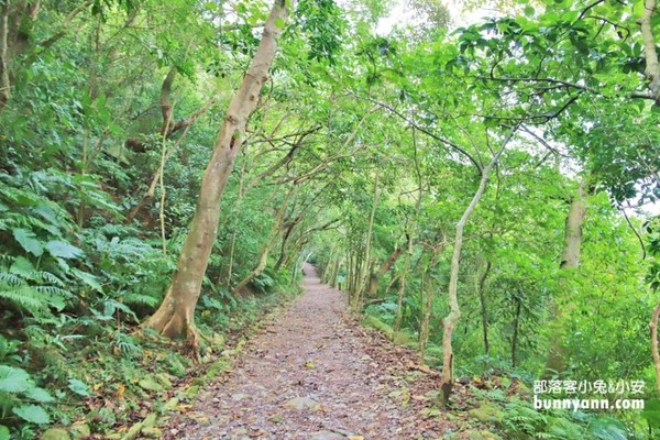 ▲▼撒固兒步道。（圖／小兔小安*旅遊札記提供）