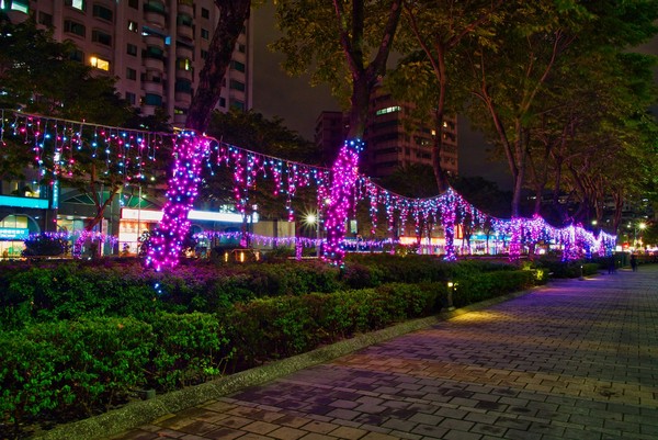 ▲「中港河廊耶誕燈海」從今（1日）起開跑。（圖／新北市府水利局提供）