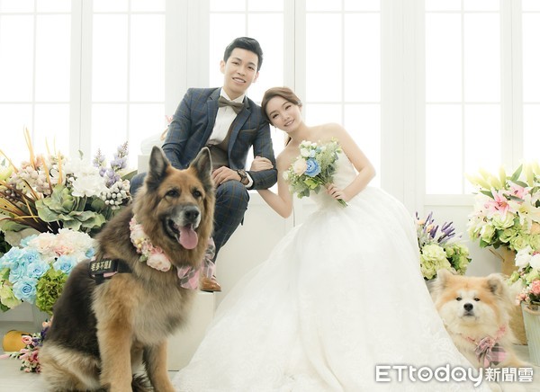 狗狗參加奴才婚禮。（圖／粉專「毛多不是胖！德國狼與日本秋的養老生活！」提供）