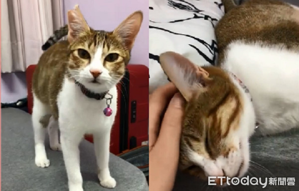 ▲▼即新聞 ▲▼即新聞