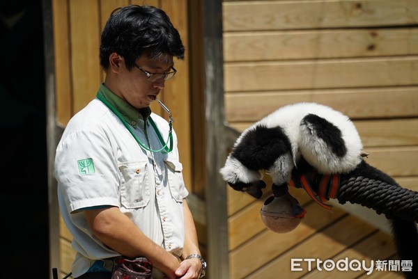 台北市立動物園「動物行為學院」。（圖／台北市立動物園提供）