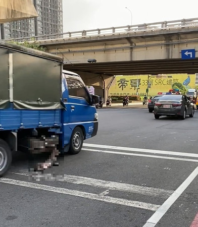 ▲▼板橋虎斑貓掛車底沿路拖行！　「被牽繩勾住」送醫死亡。（圖／新北市動保處提供）