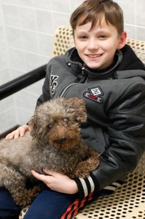 男孩領養14歲老狗。（圖／翻攝自Animal Rescue League of Iowa）
