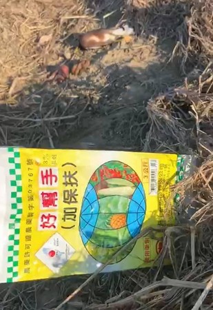 ▲▼ 。(圖/翻攝自臉書/新竹市浪愛傳遞貓狗tnvr協會) ▲▼ 。(圖/翻攝自臉書/新竹市浪愛傳遞貓狗tnvr協會)