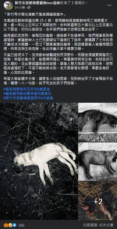 ▲▼ 。(圖/翻攝自臉書/新竹市浪愛傳遞貓狗tnvr協會) ▲▼ 。(圖/翻攝自臉書/新竹市浪愛傳遞貓狗tnvr協會)