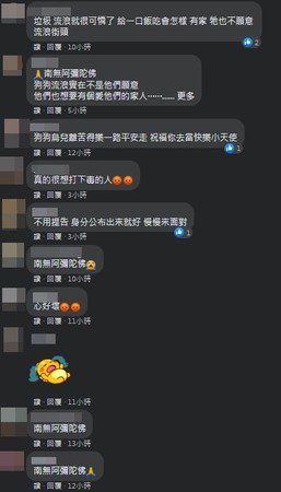 ▲▼ 。(圖/翻攝自臉書/新竹市浪愛傳遞貓狗tnvr協會) ▲▼ 。(圖/翻攝自臉書/新竹市浪愛傳遞貓狗tnvr協會)