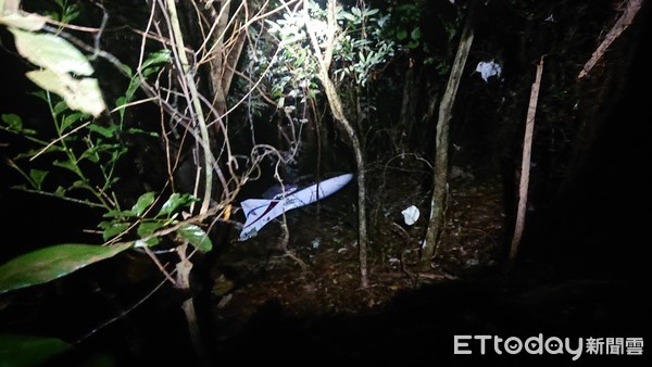 ▲▼屏東輕航機墜機。(圖/記者陳崑福翻攝) ▲▼屏東輕航機墜機。(圖/記者陳崑福翻攝)