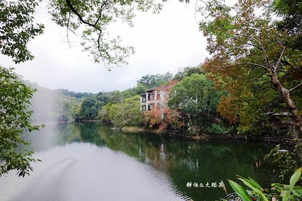 ▲▼湖畔花時間。（圖／《靜怡＆大顆呆の親子旅遊美食》提供，以下皆同，請勿隨意翻拍以免侵權）