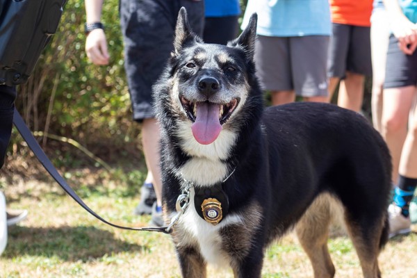 警犬Ruby。（圖／翻攝自Rhode Island State Police）