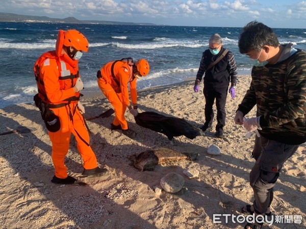 ▲海巡署第6岸巡隊人員處理核三廠死亡鯨豚             。（圖／記者陳崑福翻攝）