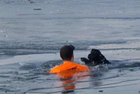 ▲男子救了一隻受困結冰湖面的狗。（圖／翻攝自Facebook／Paula Town）