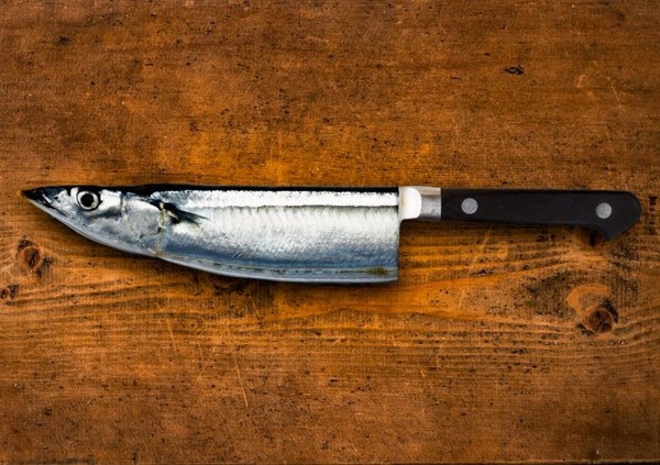 ▲日本推特主將動物與日常用品結合(圖/翻攝自推特@yoppy_photoshop) ▲日本推特主將動物與日常用品結合(圖/翻攝自推特@yoppy_photoshop)