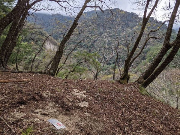 ▲▼比基尼登山客吳季芸。（圖／翻攝自Facebook／臉書社團「靠北登山大小事」）